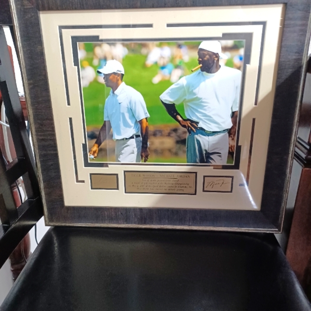 Picture michel jordan and tiger wood golf
